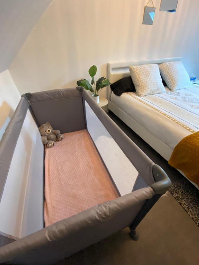 Super Appartement T3 Proche Gare Sens Luaran gambar